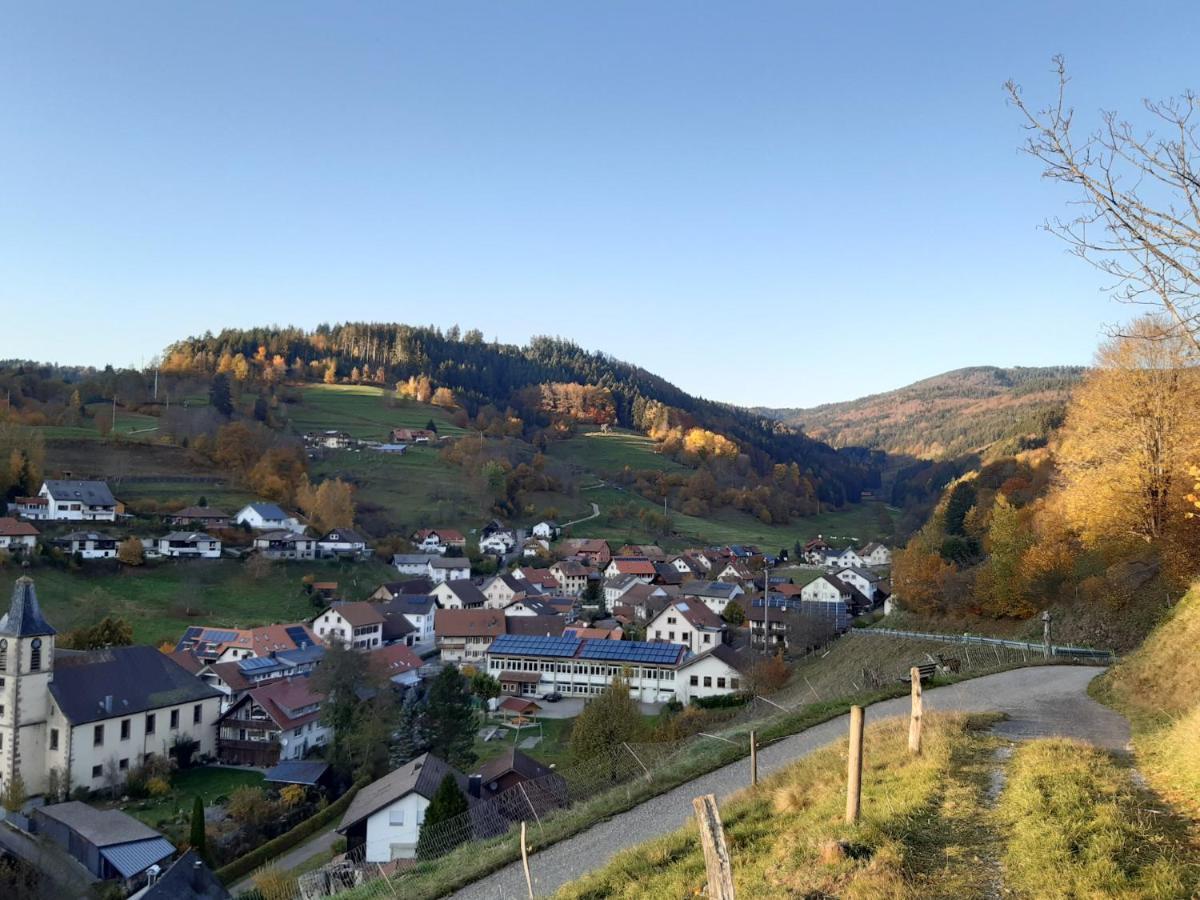 Ferienwohnung Am Geissberg Kleines Wiesental Exterior foto